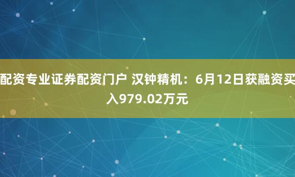 配资专业证券配资门户 汉钟精机：6月12日获融资买入979.02万元